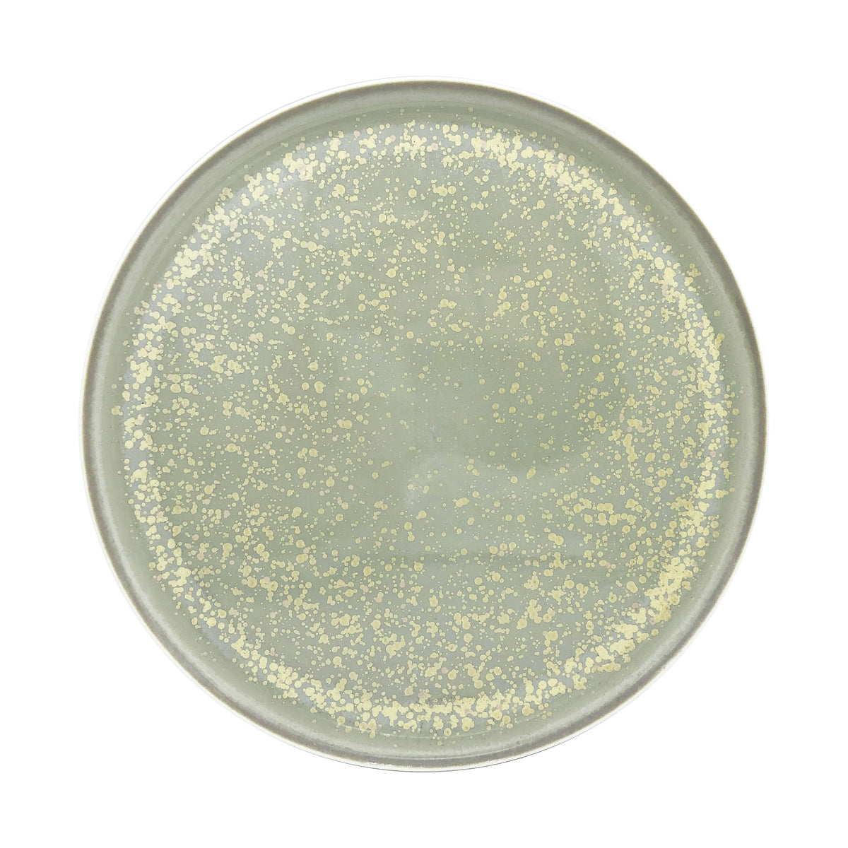 JL Coquet SONG Sienne - Assiette 29 cm, Slim 11.42 Inch SKU: SLI1002SGSICREM000