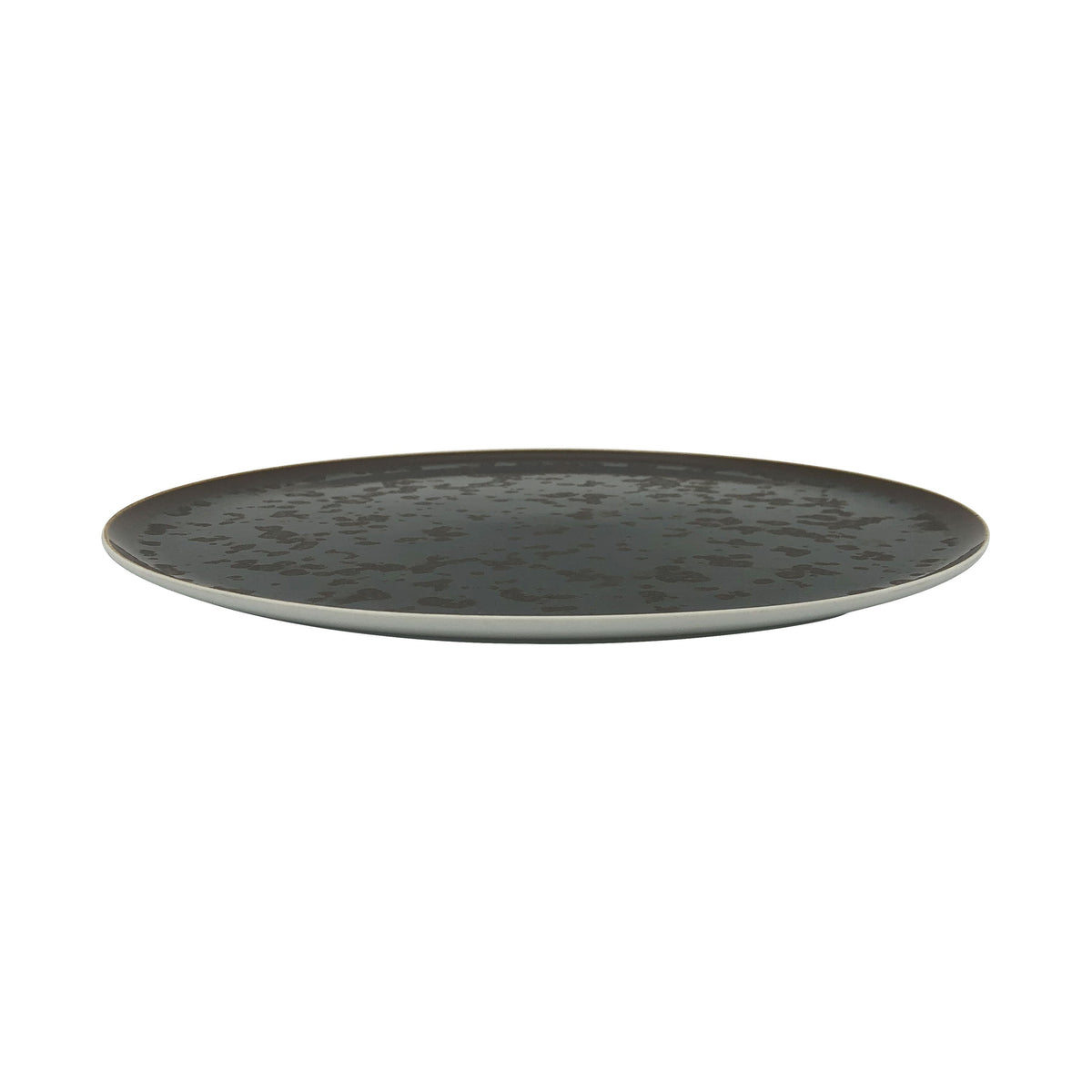 JL Coquet STRADUST - Assiette 29 cm, Slim 11.42 Inch SKU: SLI1002STDUBLNC000