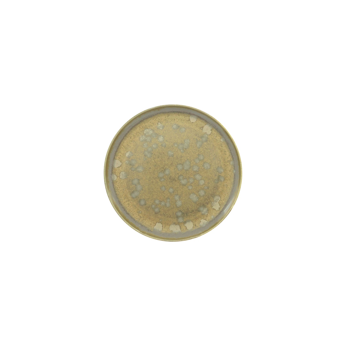 JL Coquet BASMATI - Assiette ? pain, Slim 6.1 Inch SKU: SLI1008BASMBLNC000