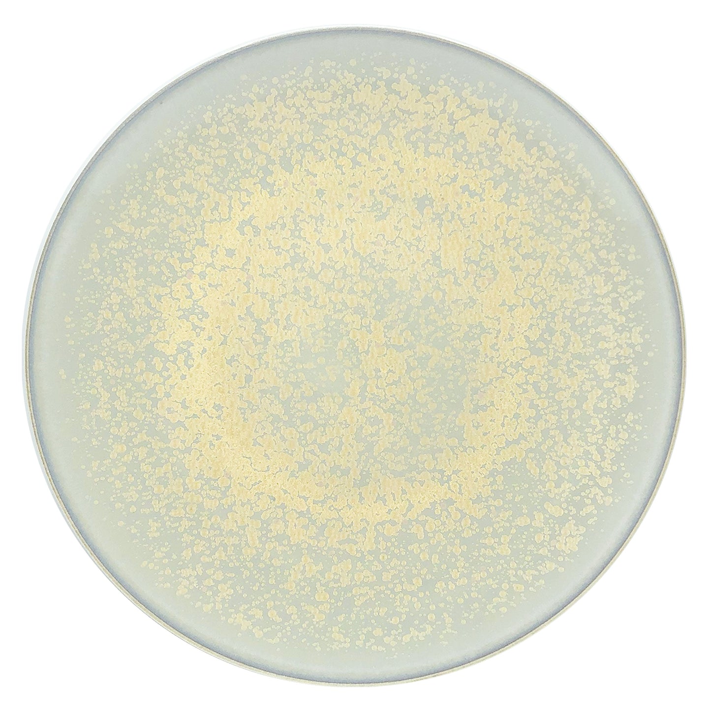 JL Coquet SONG Sienne - Assiette de pr?sentation, Agora 12.6 Inch SKU: AGO1039SGSICREM000