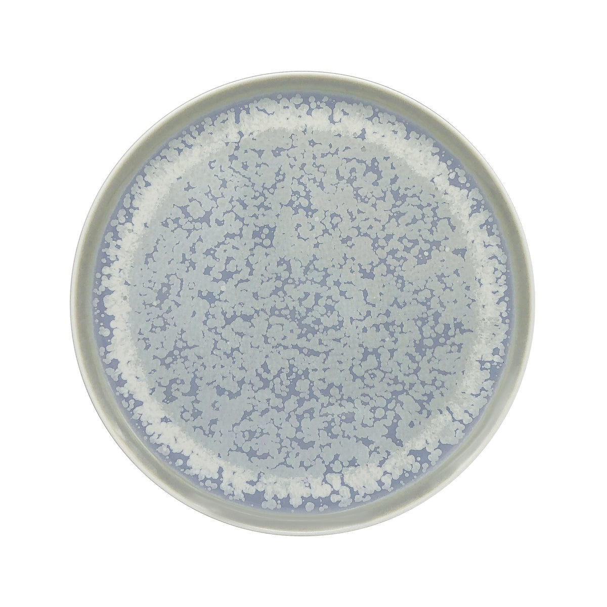 JL Coquet SONG Oc?an - Assiette plate, Slim 10.63 Inch SKU: SLI1034SGOCCREM000