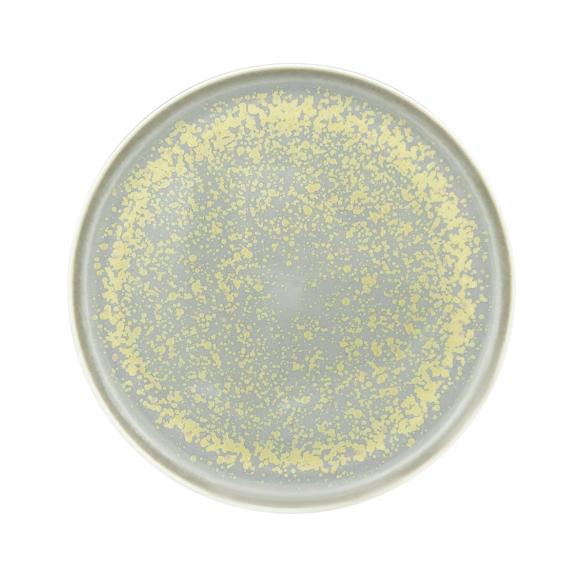 JL Coquet SONG Sienne - Assiette plate, Slim 10.63 Inch SKU: SLI1034SGSICREM000