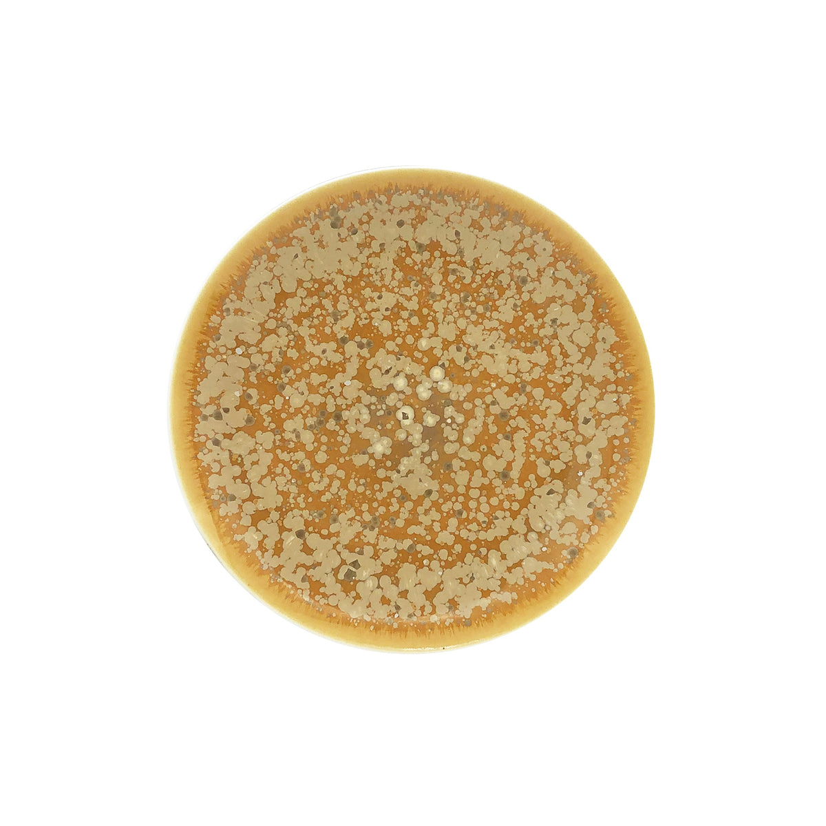 JL Coquet Song Ocre - Assiette ? dessert 8.27 Inch SKU: AGO1028OCRECREM000