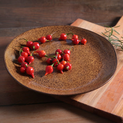 Porto Brasil DIJON DINNER PLATE ORGANIC STONEWARE dia. 10.43"  SKU: '1214105801