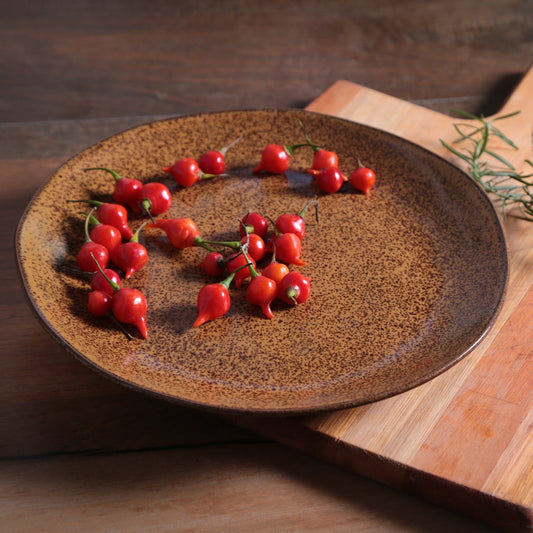 Porto Brasil DIJON DINNER PLATE ORGANIC STONEWARE dia. 10.43"  SKU: '1214105801