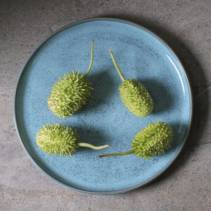 Porto Brasil BREEZE DINNER PLATE BIO STONEWARE dia. 11.42"  SKU: '1231109002