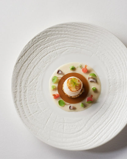 Revol ARBORESCENCE DINNER PLATE 28CM Ivory SKU: '648279