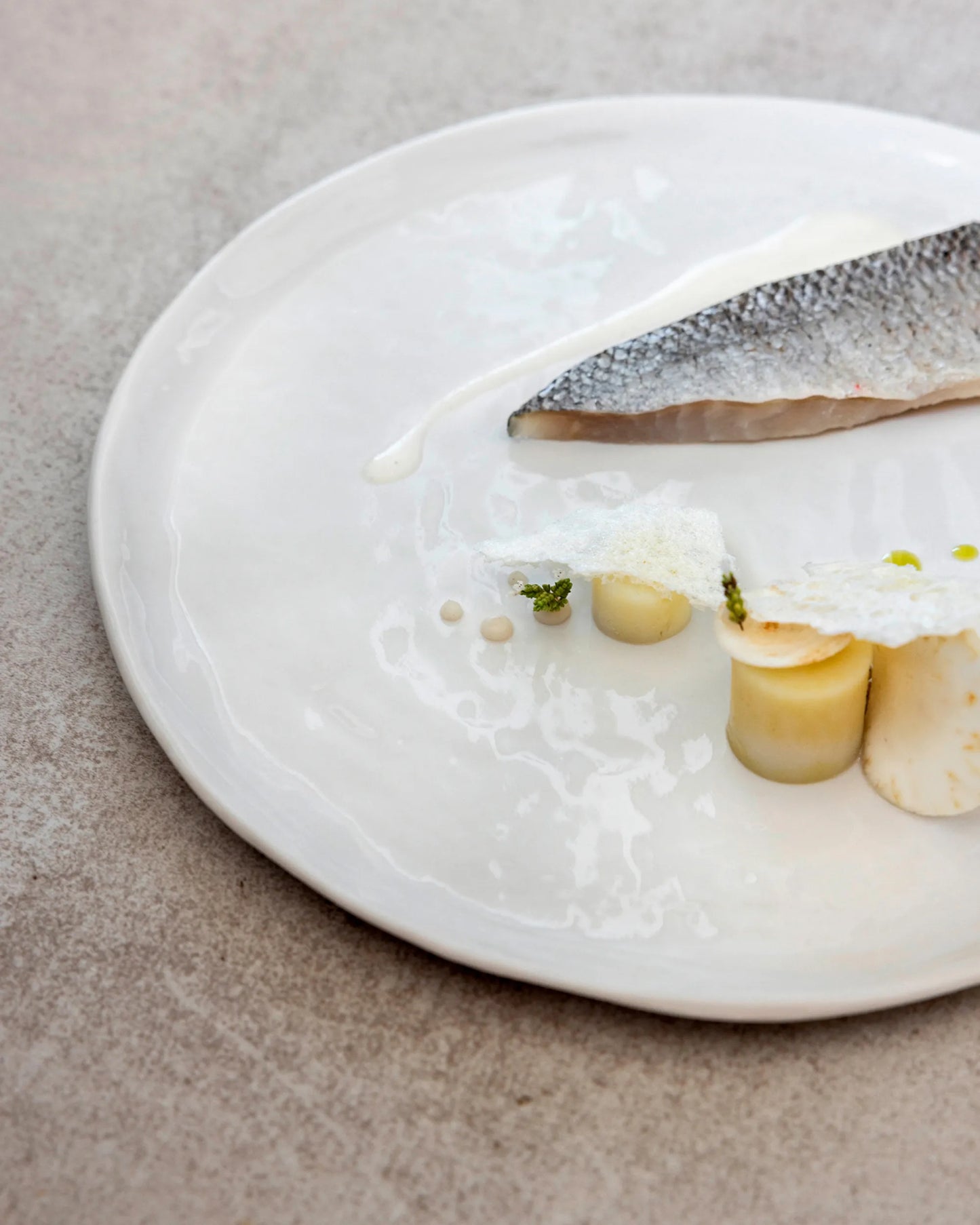 Revol  YLI DINNER PLATE 26,5CM Alabaster white SKU: '656382