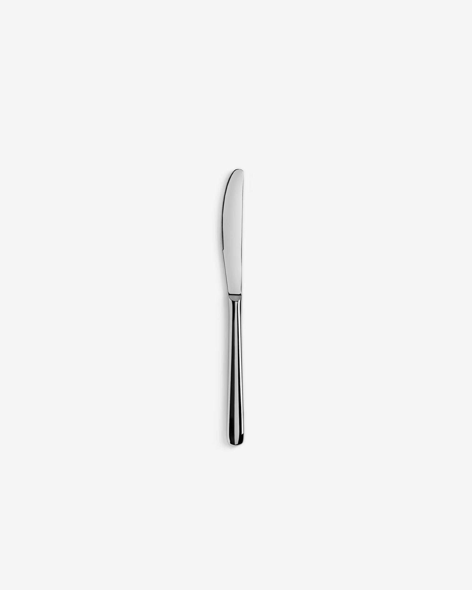 TABLE KNIFE MIRROR FINISH