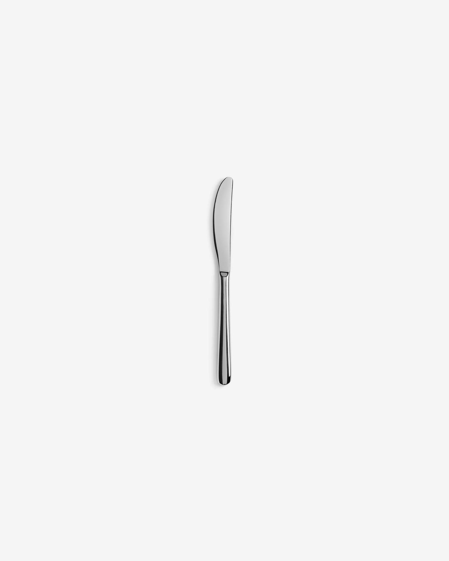 BUTTER KNIFE MIRROR FINISH