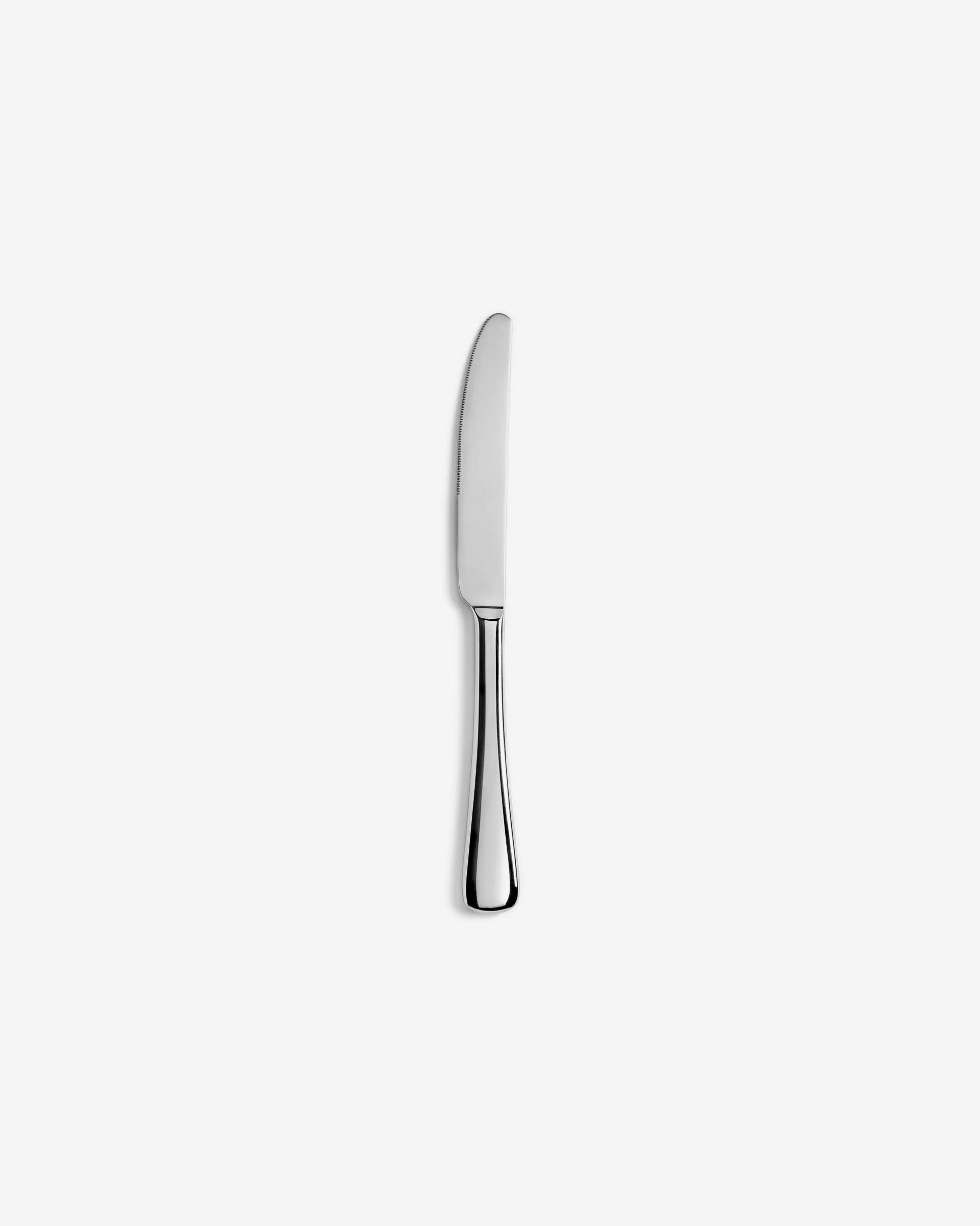 TABLE KNIFE MIRROR FINISH