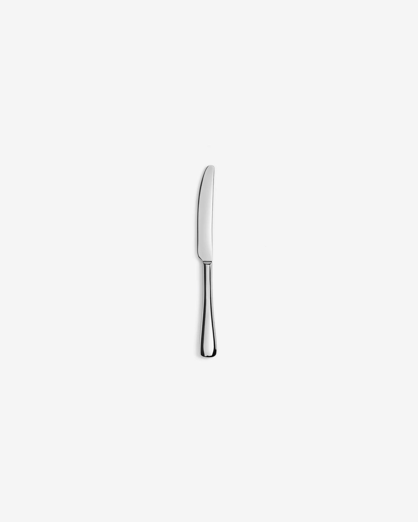 BUTTER KNIFE MIRROR FINISH