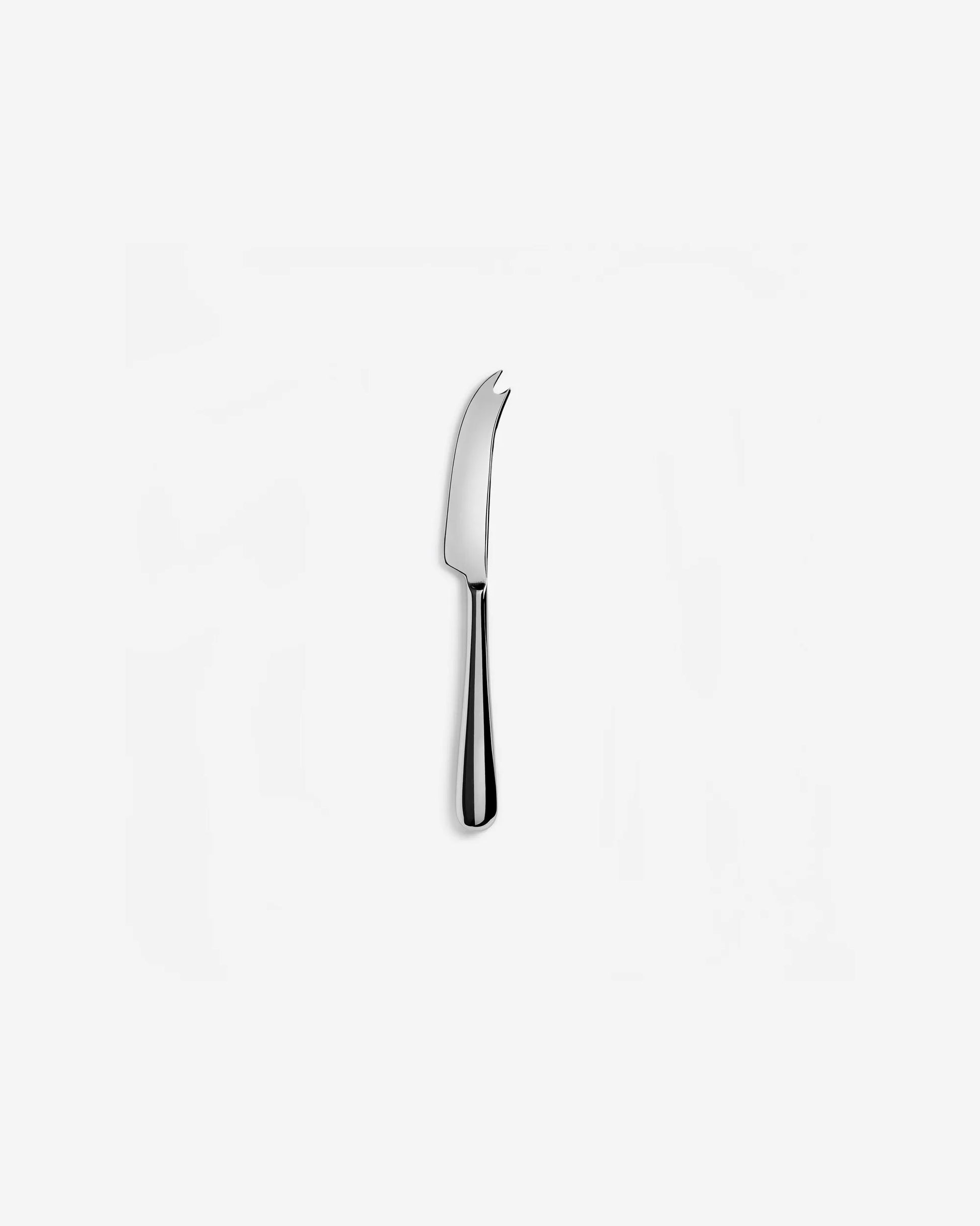 CHEESE KNIFE MIRROR FINISH