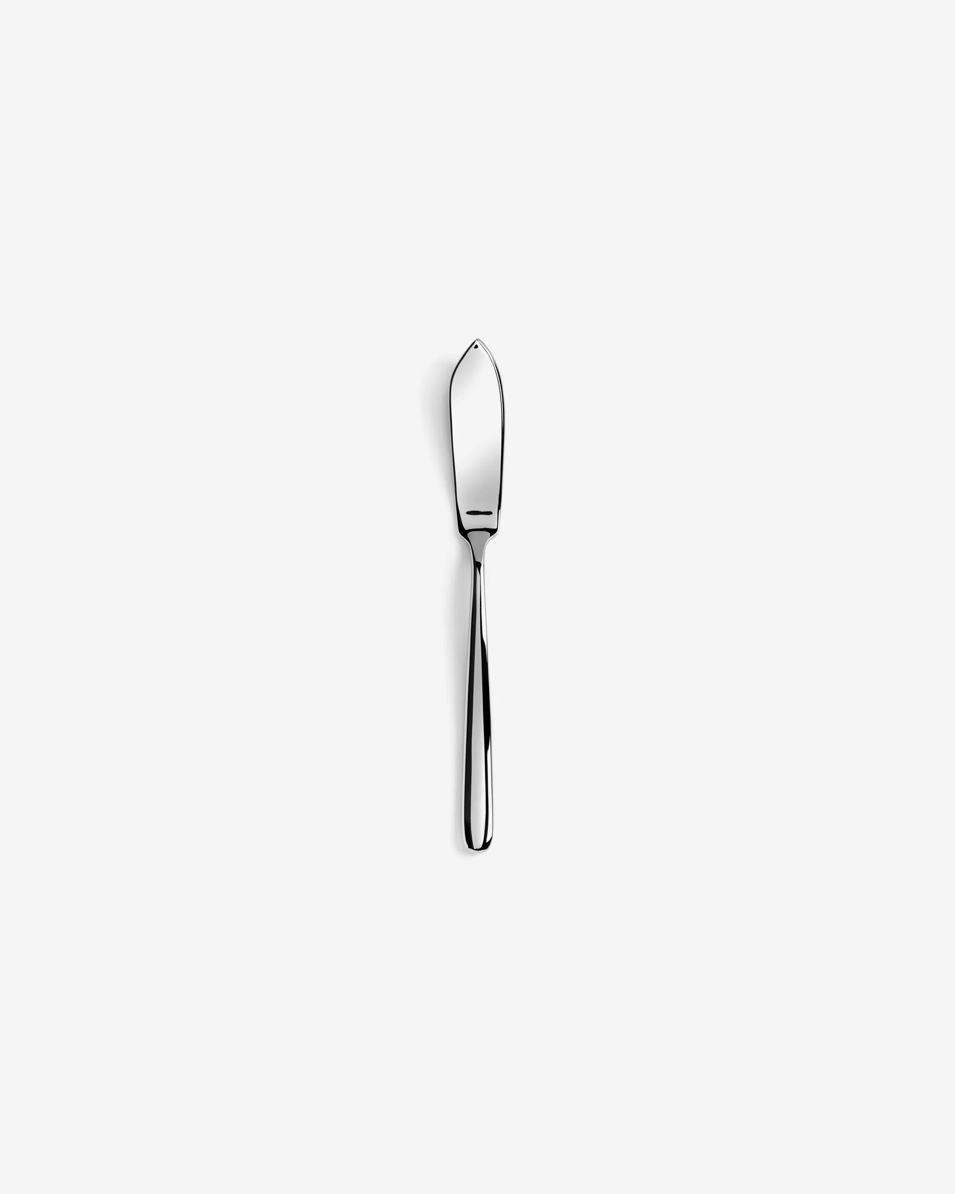 FISH KNIFE MIRROR FINISH