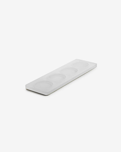TRAY WITH 4 INSERTS