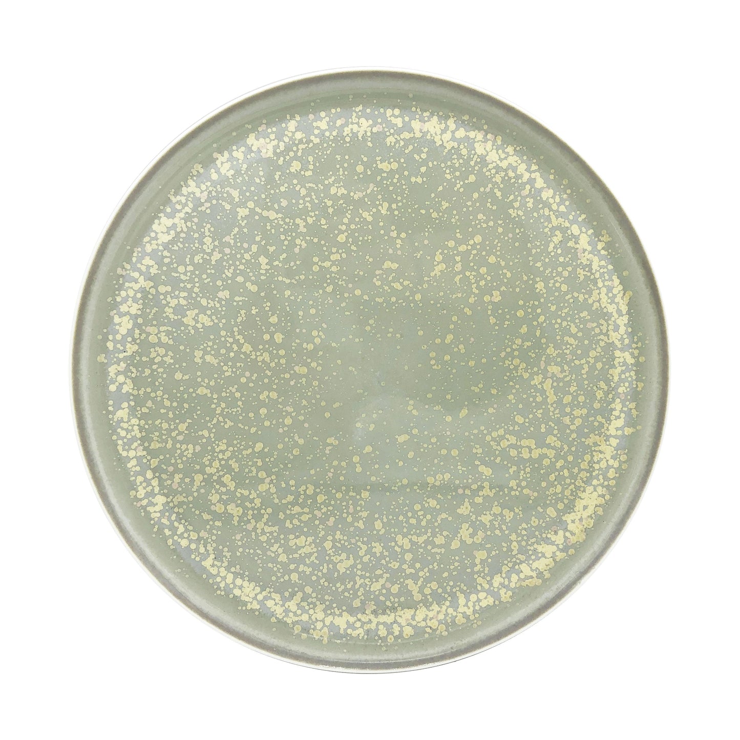 JL Coquet  SONG Sienne - Assiette 29 cm, Slim 11.42 Inch SKU: SLI1002SGSICREM000