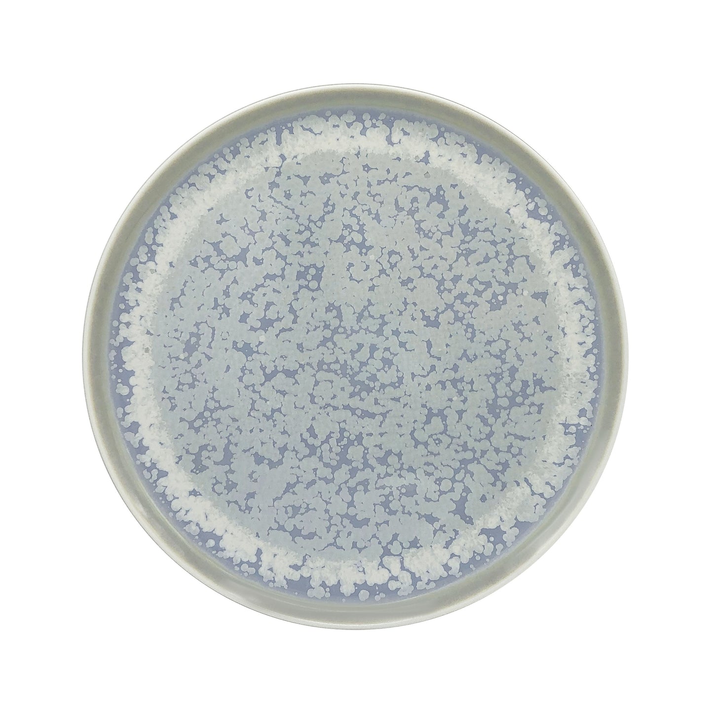 JL Coquet  SONG Oc?an - Assiette plate, Slim 10.63 Inch SKU: SLI1034SGOCCREM000