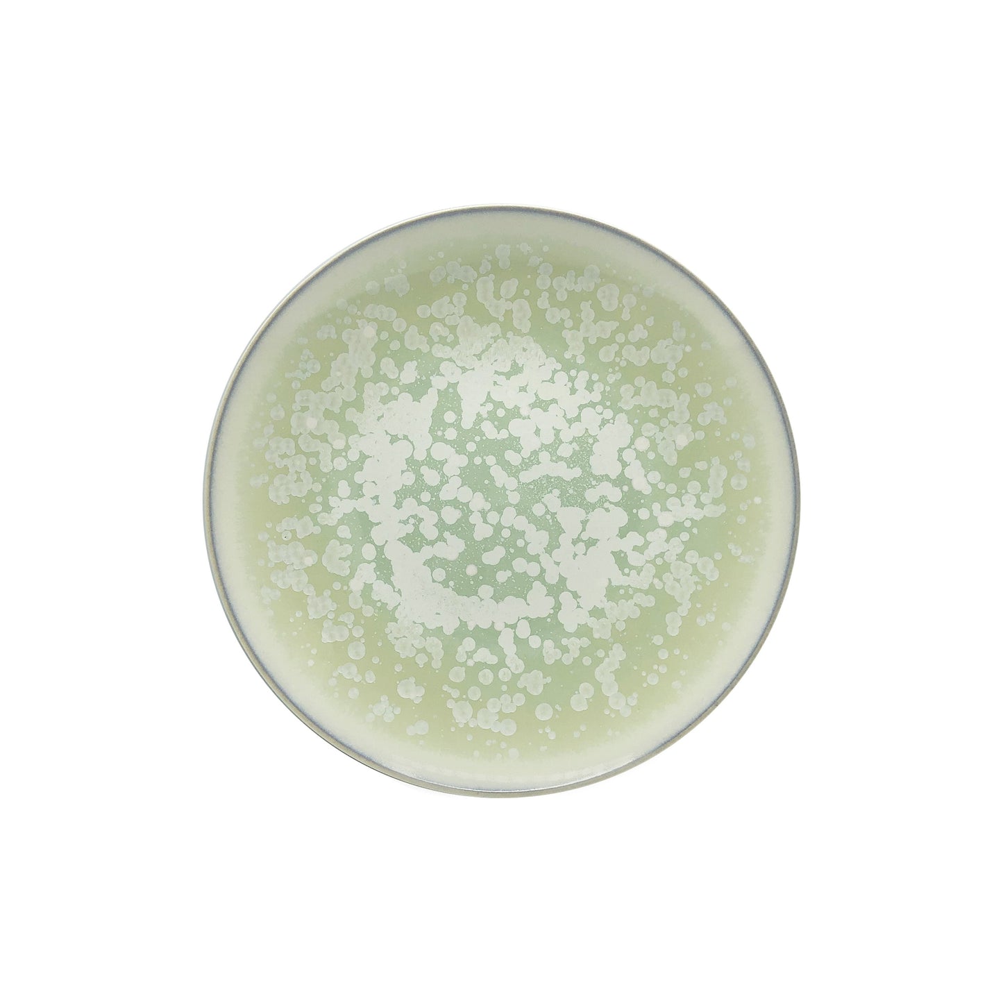 JL Coquet  SONG Amande - Assiette ? dessert, Agora 8.27 Inch SKU: AGO1028SGAMCREM000