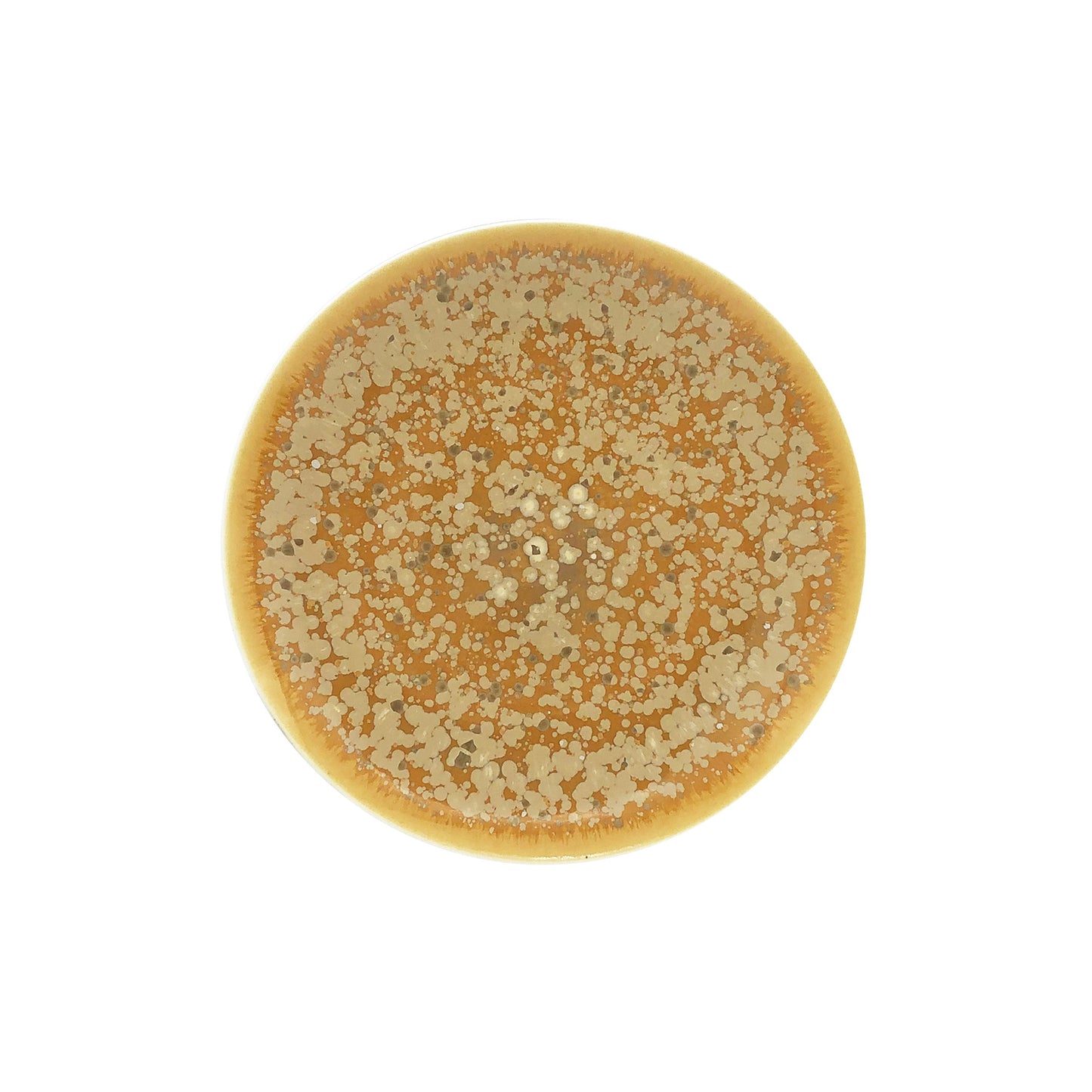 JL Coquet  Song Ocre - Assiette ? dessert 8.27 Inch SKU: AGO1028OCRECREM000